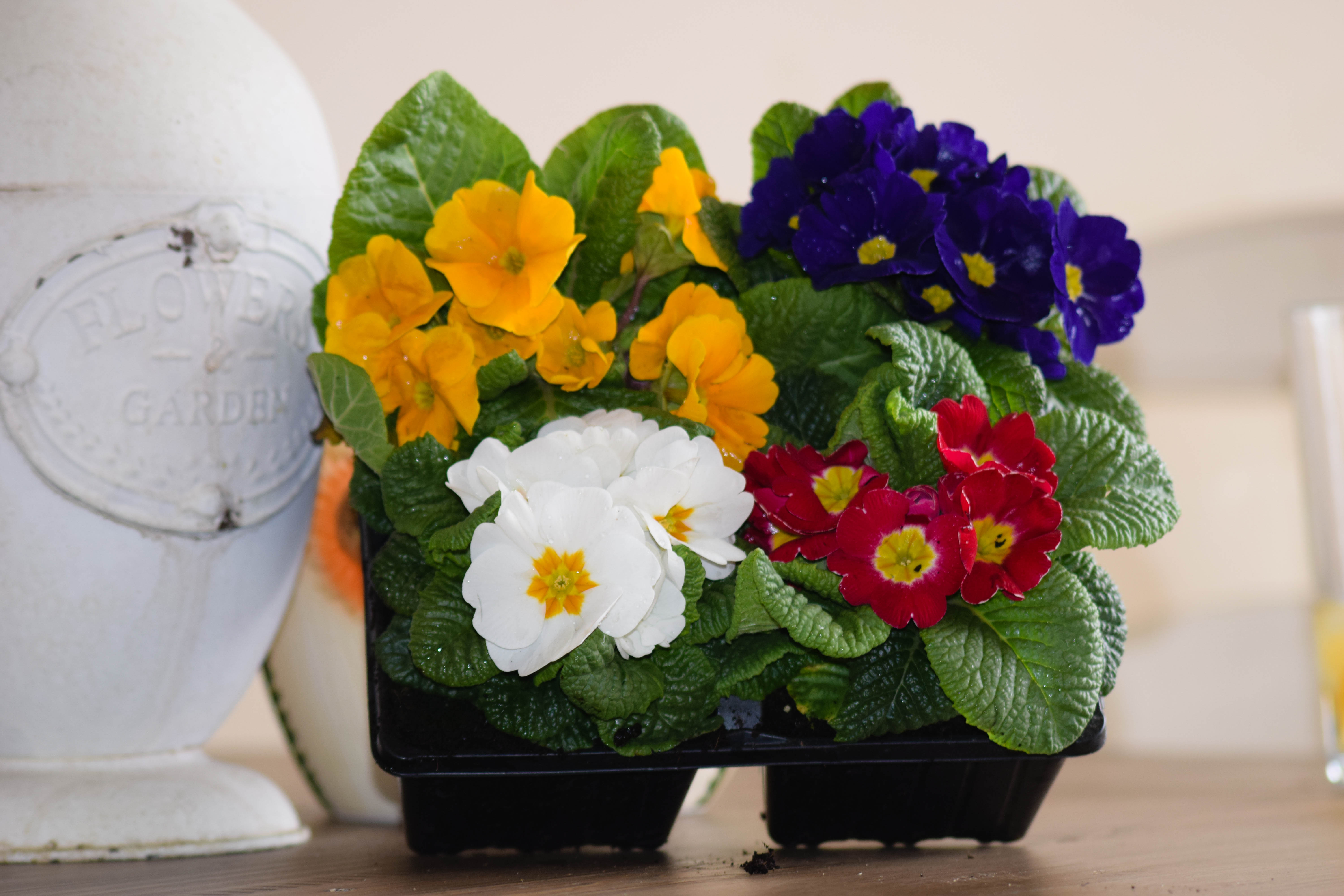 How to make a sensory garden box for a child who is visually impaired ...